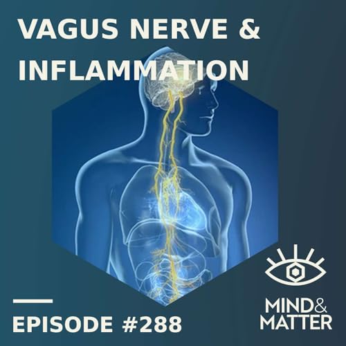 Vagus Nerve Stimulation & Inflammation | Kevin Tracey | 288