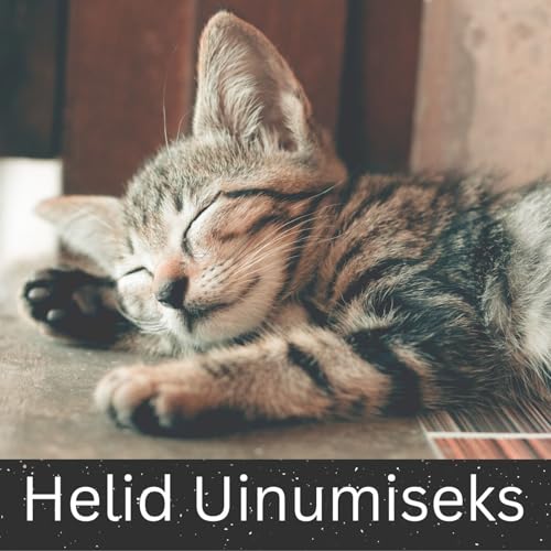 Väike Jõgi Rahustava Vooguga - 10 Tundi Une, Meditatsiooni ja Lõõgastumise Jaoks by Unknown