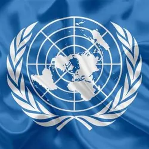 THE UNITED NATIONS IS BECOMIMG IRRELEVANT (AUDIO VERSION) by Unknown