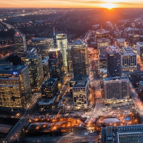 SEO vs PPC for DC Businesses: Which Makes Sense First?