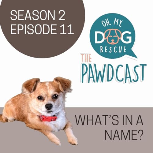 What's in a name? - S2 E10 by Unknown