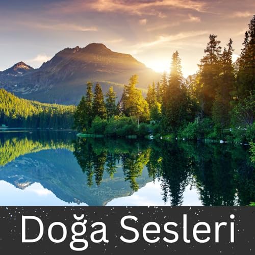Küçük Dere Akışı - Uyku, Meditasyon ve Rahatlama İçin 10 Saat by Unknown