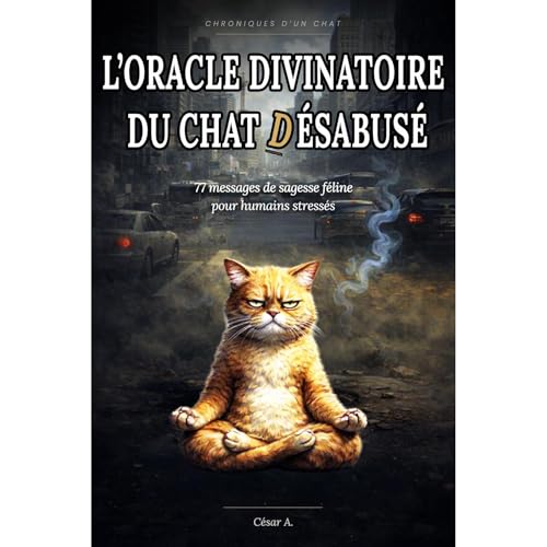 L’Oracle divinatoire du chat désabusé by César A. Delacroix