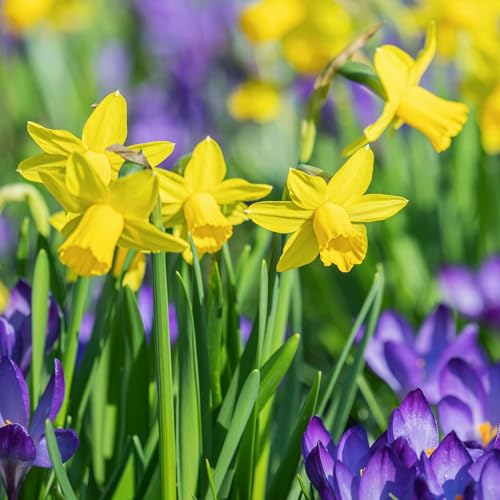 Le défi de se connecter au Vivant par temps de crises