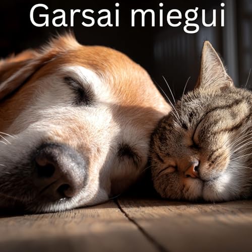 Boulingo salės ramybė ir švelnūs garsai - 10 Valandų Miegui, Meditacijai ir Atsipalaidavimui by Unknown