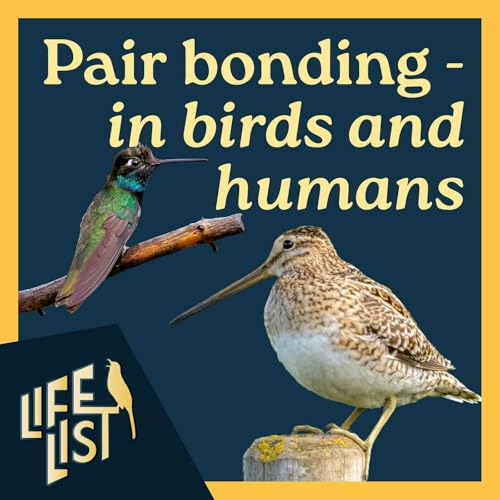 An evolutionary biology perspective on pair bonding - in birds and humans - with Bryony Angell and Wenfei Tong by Unknown