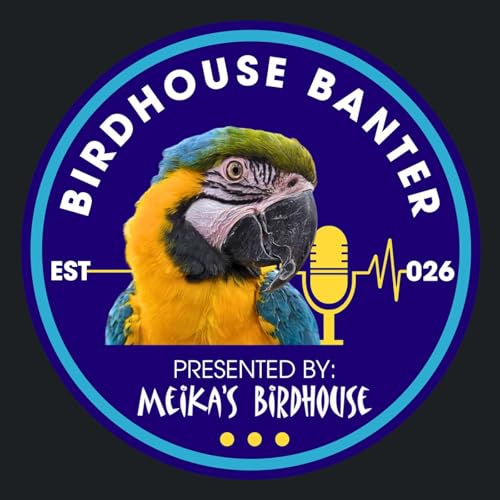 The Story Behind Meika's Birdhouse by Unknown