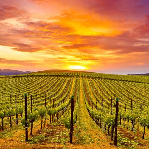 She Doth Protest Too Much by Unknown