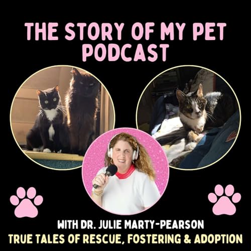 Cats That Kept Him Going: How David Maeda's Cats Shaped His Story by Unknown