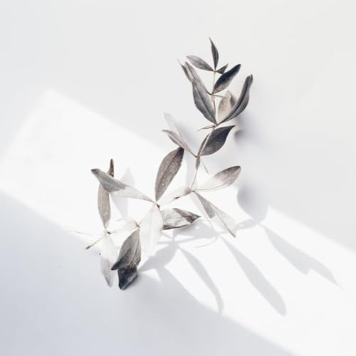 #39 2026/4/12 自転車パンク、社会保険料が上がるかも by Unknown