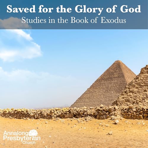 Freedom from Egypt: The Beginning of the Community of God - Saved for the Glory of God | Studies in the book of Exodus by Unknown