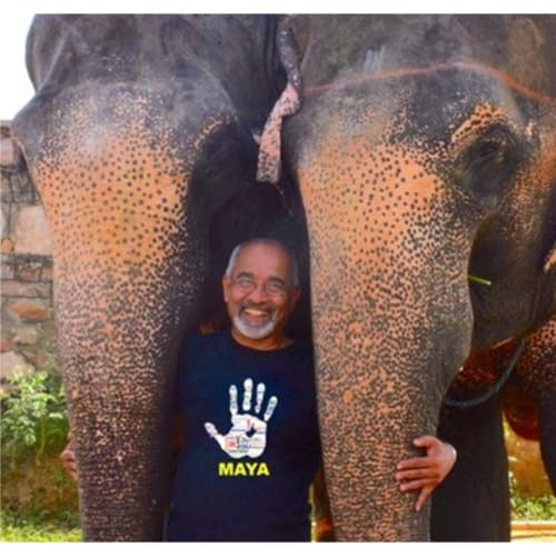 Two AIs Agents: One Name "Maya". A Dangerous Confusion in Healthcare that could change what patients do next— whether stay at home safe or rush into a system they didn’t need. by Unknown