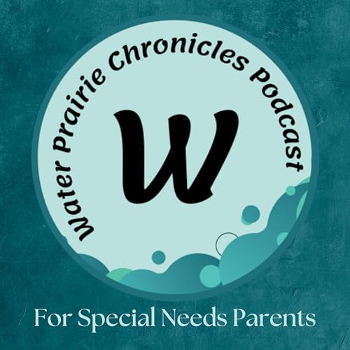 151. Why Special Needs Parents Are Financially Burned Out — And What to Do About It by Unknown