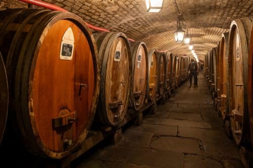 La Cave Historique des Hospices de Strasbourg by Unknown
