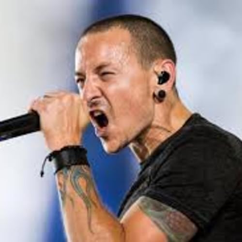 Episode 36 (Part 4 of 4): "Theory: Could Chester Bennington have been trans and just never realized it (aka, an 'egg')?" by Unknown