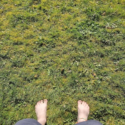 Episode 3: Prehistoric Africa to Ancient Egypt by Unknown