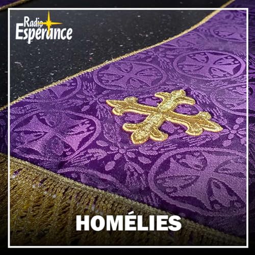 Discours du Pape Léon XIV lors de la rencontre avec la communauté chrétienne à Alger le 13 avril 2026