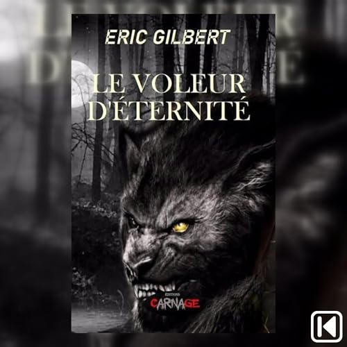 Le voleur d'éternité by Eric Gilbert