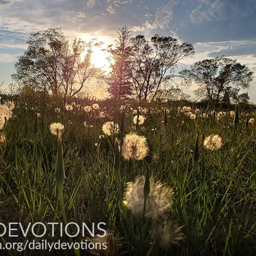 What Shall We Do? by Unknown