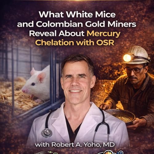 338. WHAT WHITE MICE AND COLOMBIAN GOLD MINERS TELL US ABOUT MERCURY CHELATION WITH OSR by Unknown