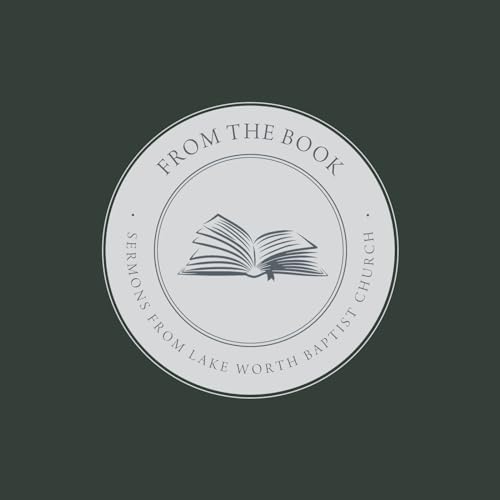 Abide EP.87 - Joshua 22 - 24; Psalm 61 by Unknown